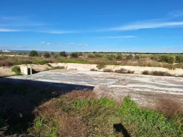 #24436 Vendesi Terreno e Capannoni a Taranto