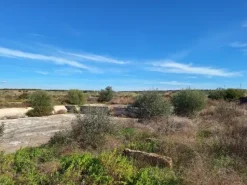 #24436 Vendesi Terreno e Capannoni a Taranto