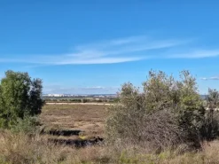 #24436 Vendesi Terreno e Capannoni a Taranto
