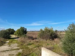 #24436 Vendesi Terreno e Capannoni a Taranto