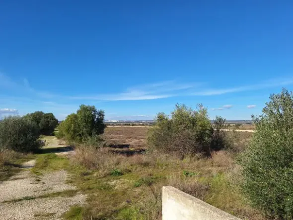 #24436 Vendesi Terreno e Capannoni a Taranto
