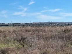 #24436 Vendesi Terreno e Capannoni a Taranto