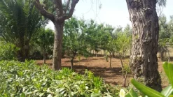 VENDITA B&B BAIA DEL SOLE