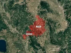 Vendita legna di nocciolo