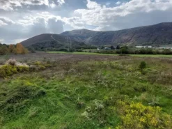 #25201 Vendita terreno commerciale