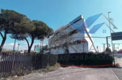 Vendita Uffici - Zona Romanina
