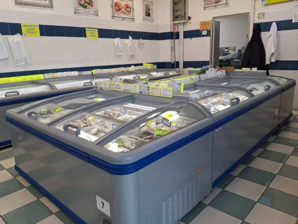 VENDO BANCHI FRIGO PER ALIMENTI SURGELATI