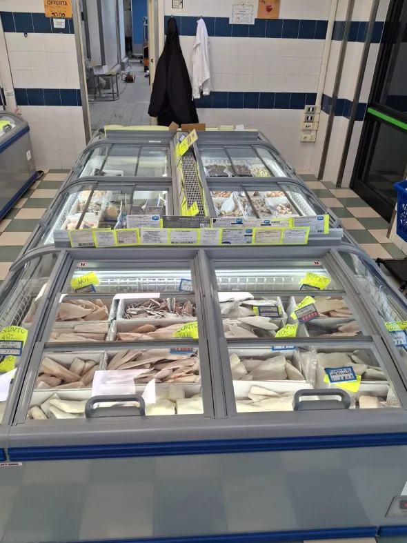 VENDO BANCHI FRIGO PER ALIMENTI SURGELATI