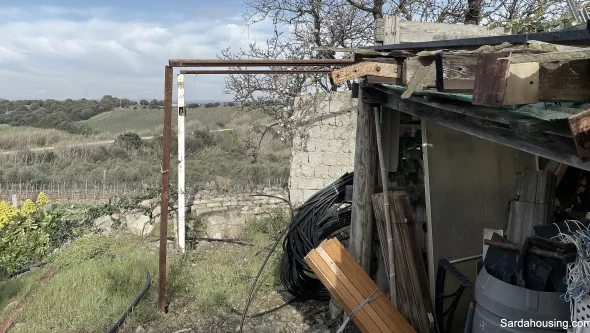 Vigneto e Oliveto Sa Misa a Soleminis